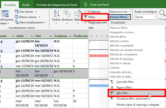 Microsoft Project - Filtri - Altri Filtri