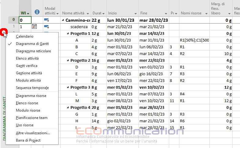 Microsoft Project - Scegliere le visualizzazioni