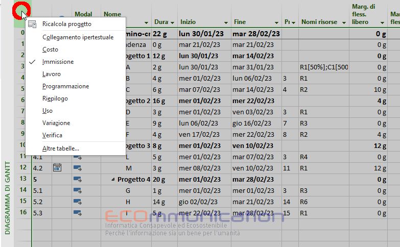 Microsoft Project - Visualizzazione Colonne